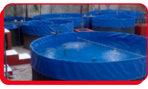 Screen Shot 2025-10-16 at 14.03.54