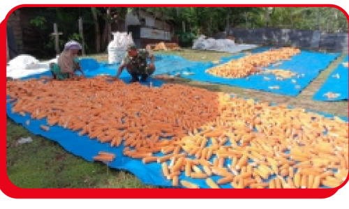 Screen Shot 2025-10-16 at 14.04.42