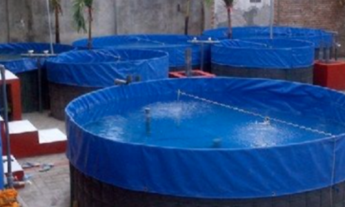 Screen Shot 2025-08-28 at 13.49.14